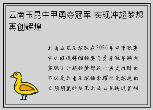 云南玉昆中甲勇夺冠军 实现冲超梦想再创辉煌 云南玉昆中甲勇夺冠军 实现冲超梦想再创辉煌